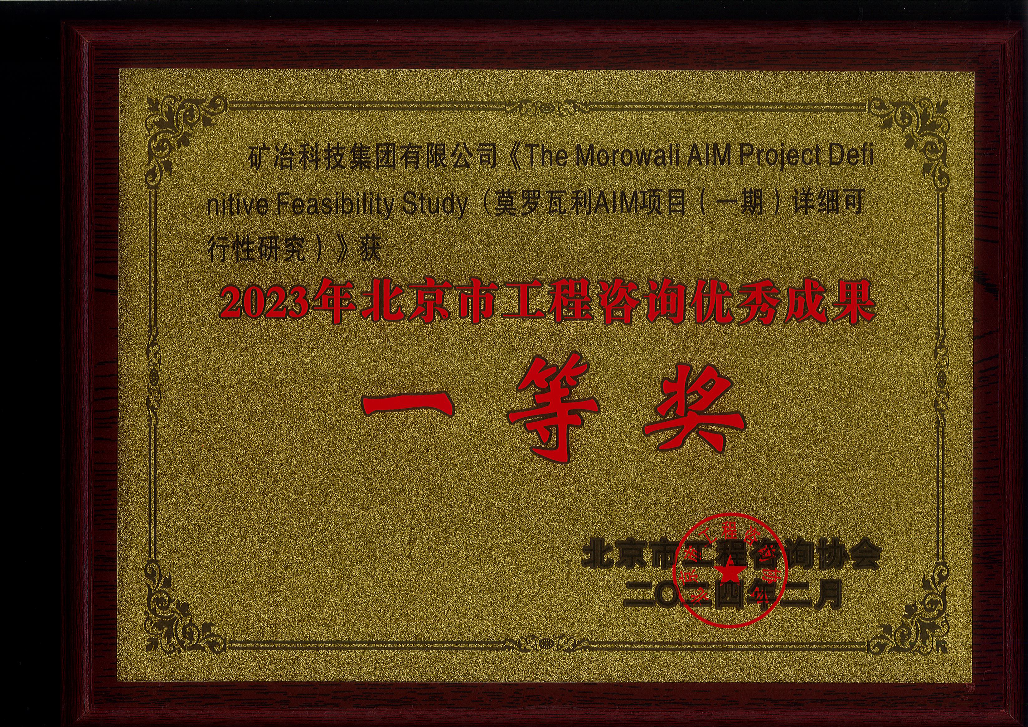 The Morowali AIM Project Definitive Feasibility Study （莫罗瓦利 AIM 项目 （一期）详细可行性研究.jpg